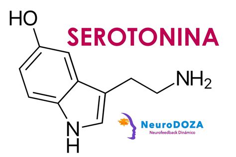 serotonina o que é